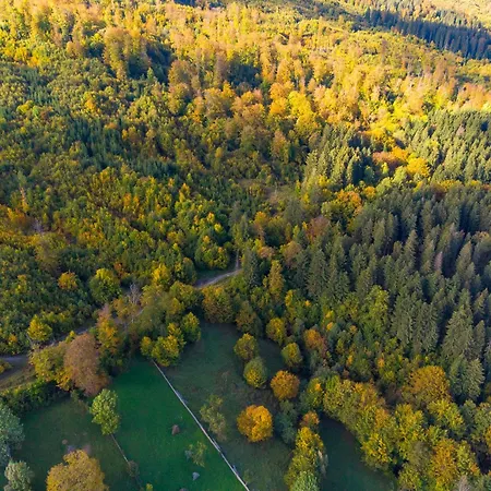 Complex Turistic Traisteni Din Valea Doftanei Podu lui Neag Exterior photo