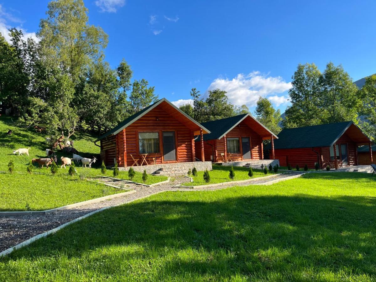 Complex Turistic Traisteni Din Valea Doftanei Campsite *