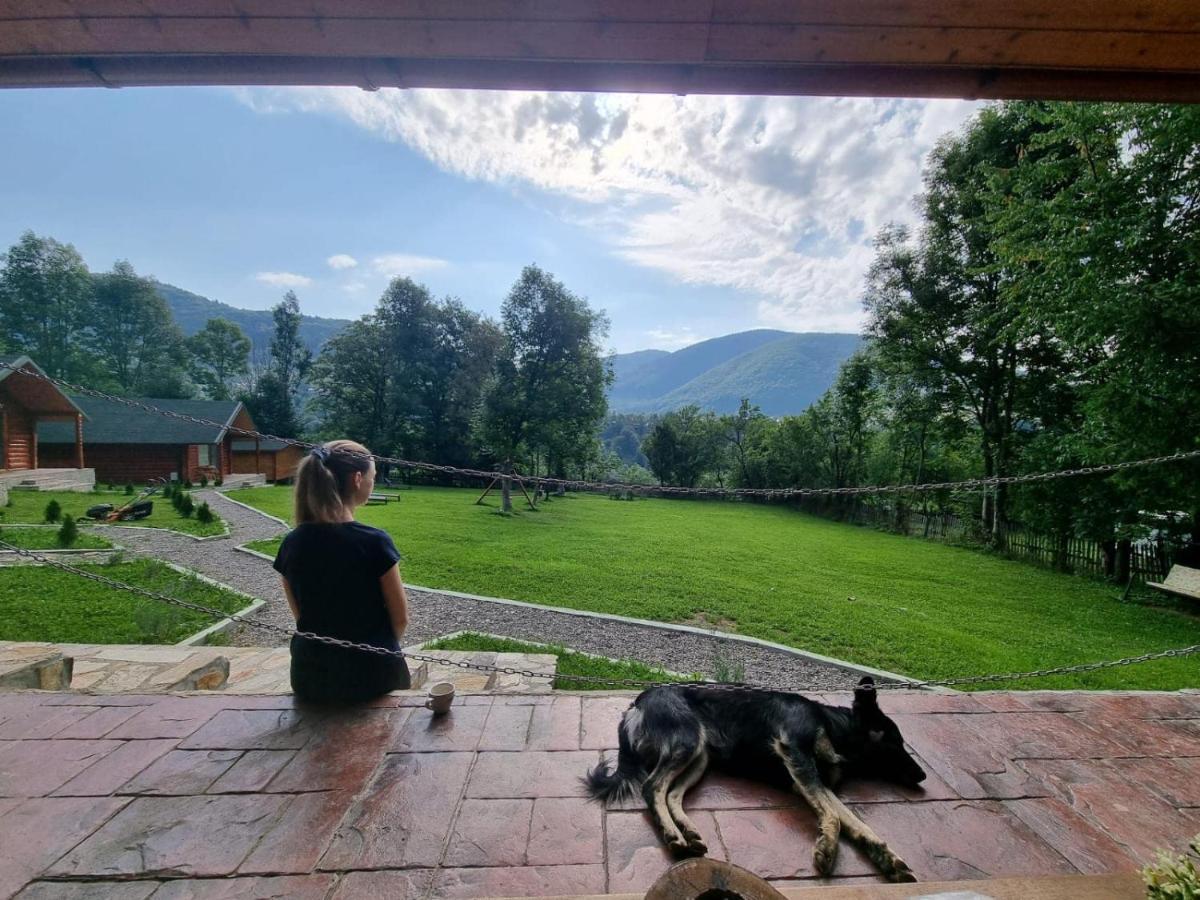 Complex Turistic Traisteni Din Valea Doftanei Campsite