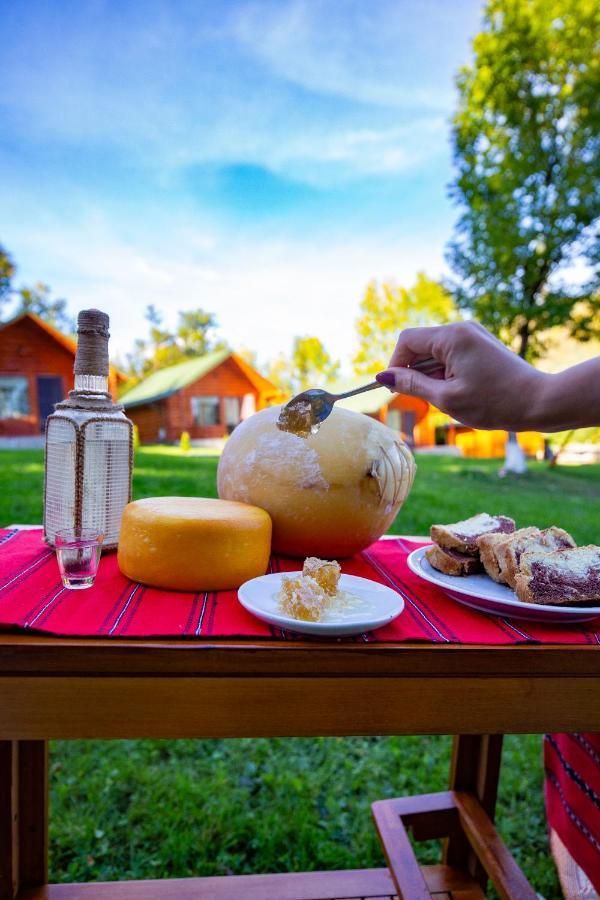 Campsite Complex Turistic Traisteni Din Valea Doftanei