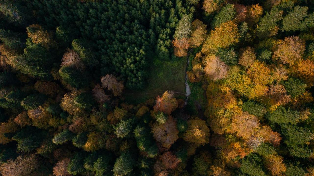 Complex Turistic Traisteni Din Valea Doftanei Campsite Podu lui Neag