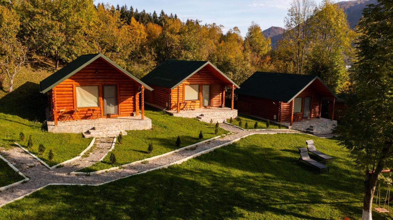 Complex Turistic Traisteni Din Valea Doftanei Podu lui Neag