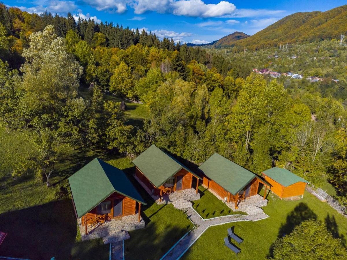 Complex Turistic Traisteni Din Valea Doftanei Podu lui Neag