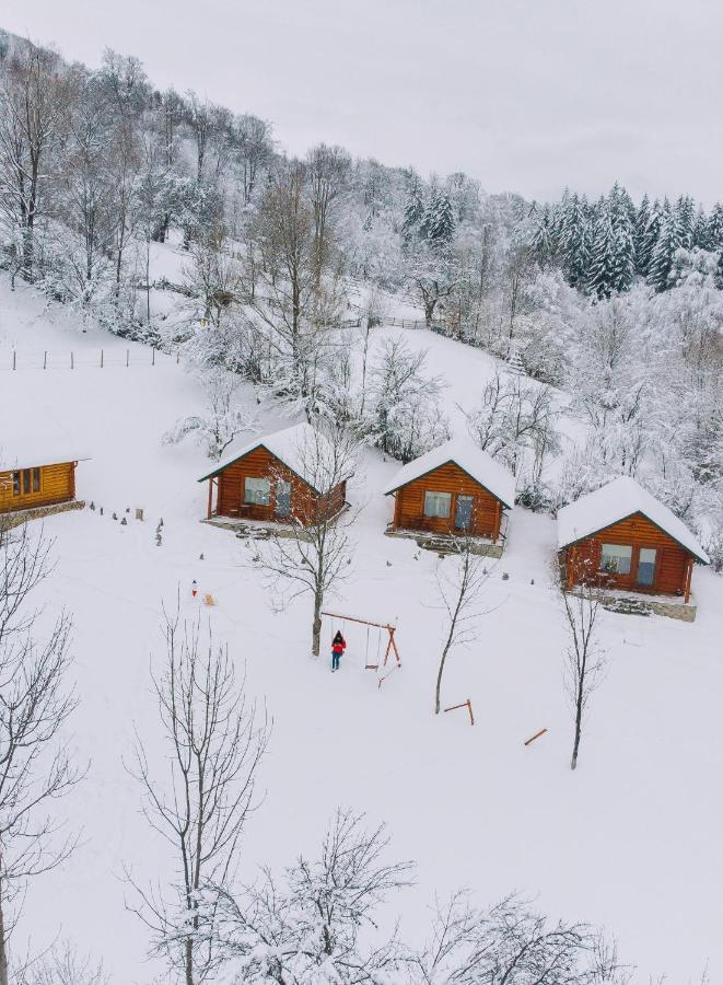 Campsite Complex Turistic Traisteni Din Valea Doftanei Podu lui Neag